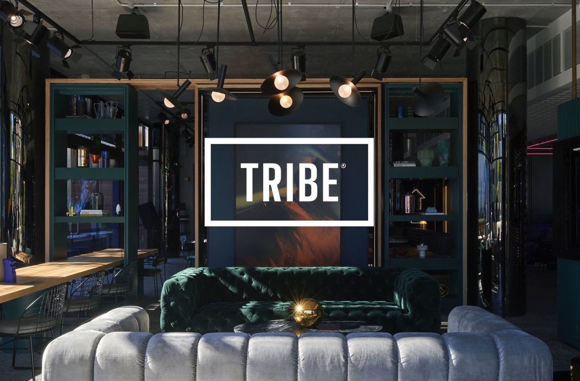 Tribe