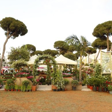 The 15th edition of the Garden Show & Spring Festival is a few weeks away