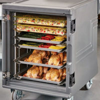 Insulated Holding & Transport Cabinets