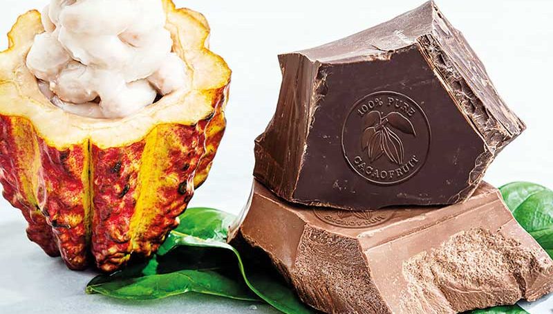 Chocolate Report 2019