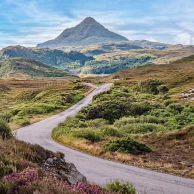 Protected: Midar restaurant is set to become Kuwait’s premium seafood restaurant