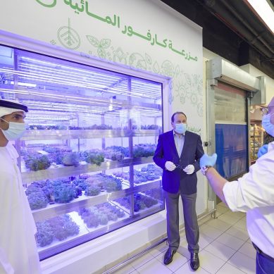 The rise of hydroponic farming in the UAE