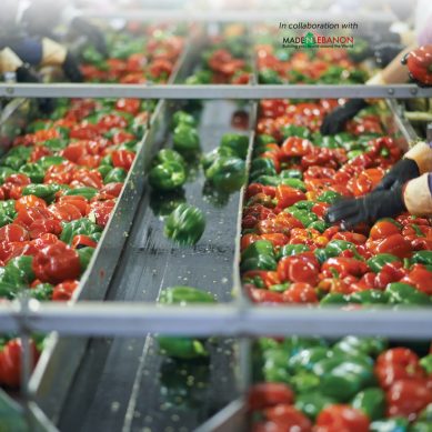7 ways food processing delivers healthierfood products