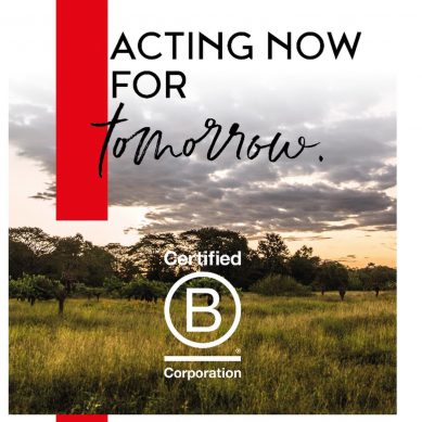 Valrhona joins the B Corporation community for a more sustainable cacao production