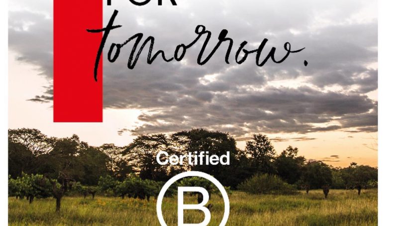 Valrhona joins the B Corporation community for a more sustainable cacao production