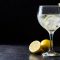 Gin and tonic emerges as Gen Z’s spirit of choice