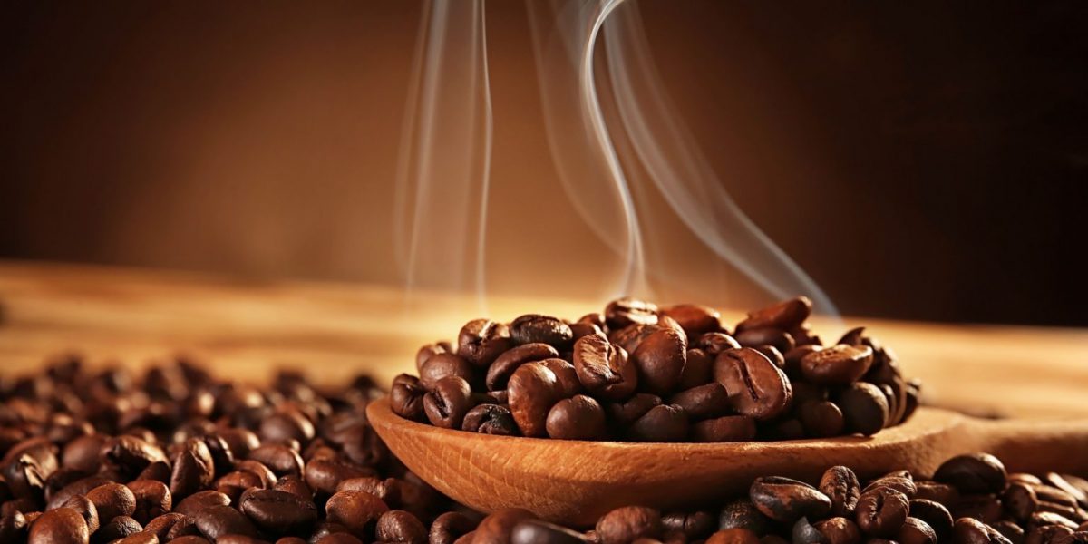 great-coffee-bean-1536x1024