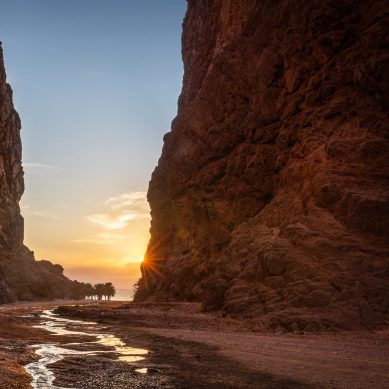 UNWTO and Neom launch Tourism Experiences of the Future challenge