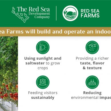 For a sustainable food supply at the Red Sea project