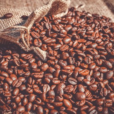 How environmental shifts affect coffee quality