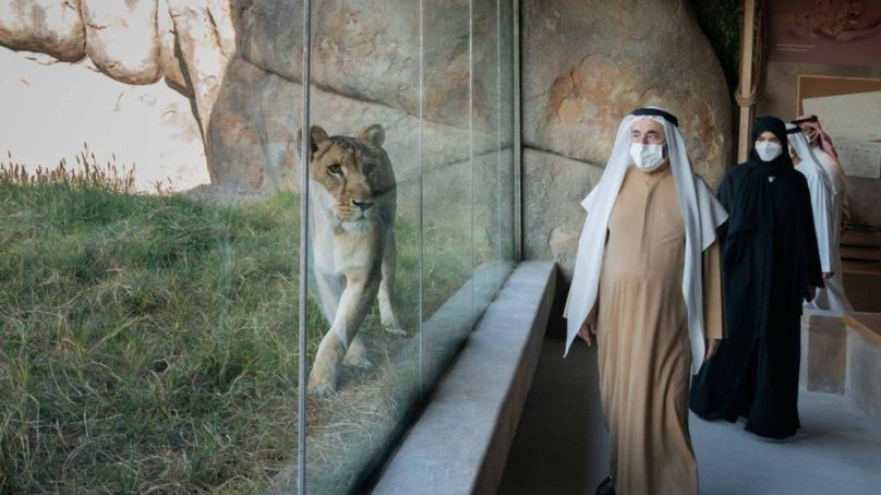 World’s largest safari outside Africa is now open in Sharjah, UAE