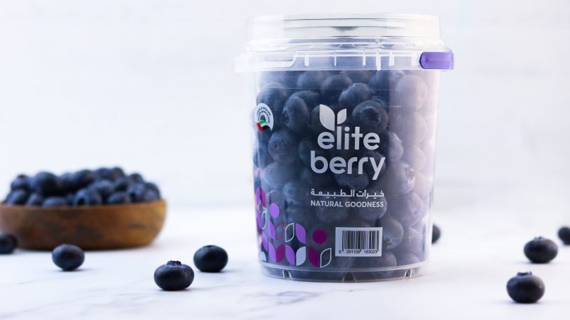 High-quality UAE blueberries to access Far East markets