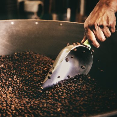 What’s making waves on the green coffee scene
