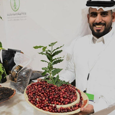 Jazan coffee production surges as Saudi Arabia elevates global ambitions