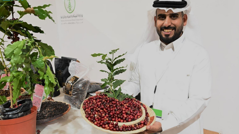 Jazan coffee production surges as Saudi Arabia elevates global ambitions