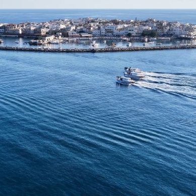 Syria tourism records strong recovery as visitor arrivals rise 80 percent in 2025